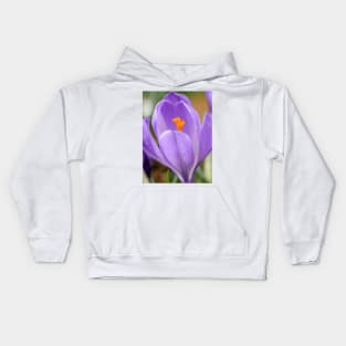 Crocus Kids Hoodie